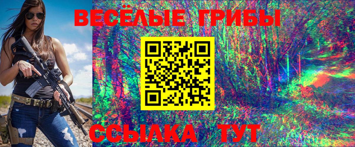 Ступино  Псилоцибиновые грибы Psilocybine cubensis  Вход с VPN 
